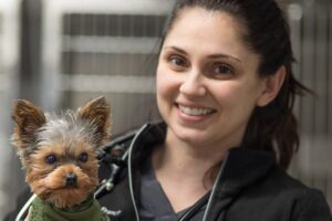 Dog visiting an emergency vet