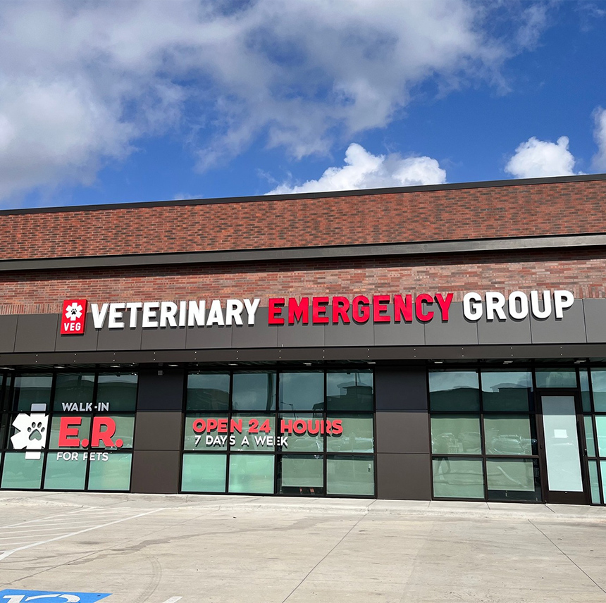 Emergency Vet in Houston, TX Veterinary Emergency Group