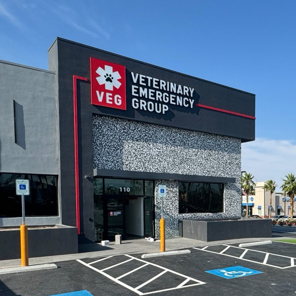 VEG Las Vegas building exterior