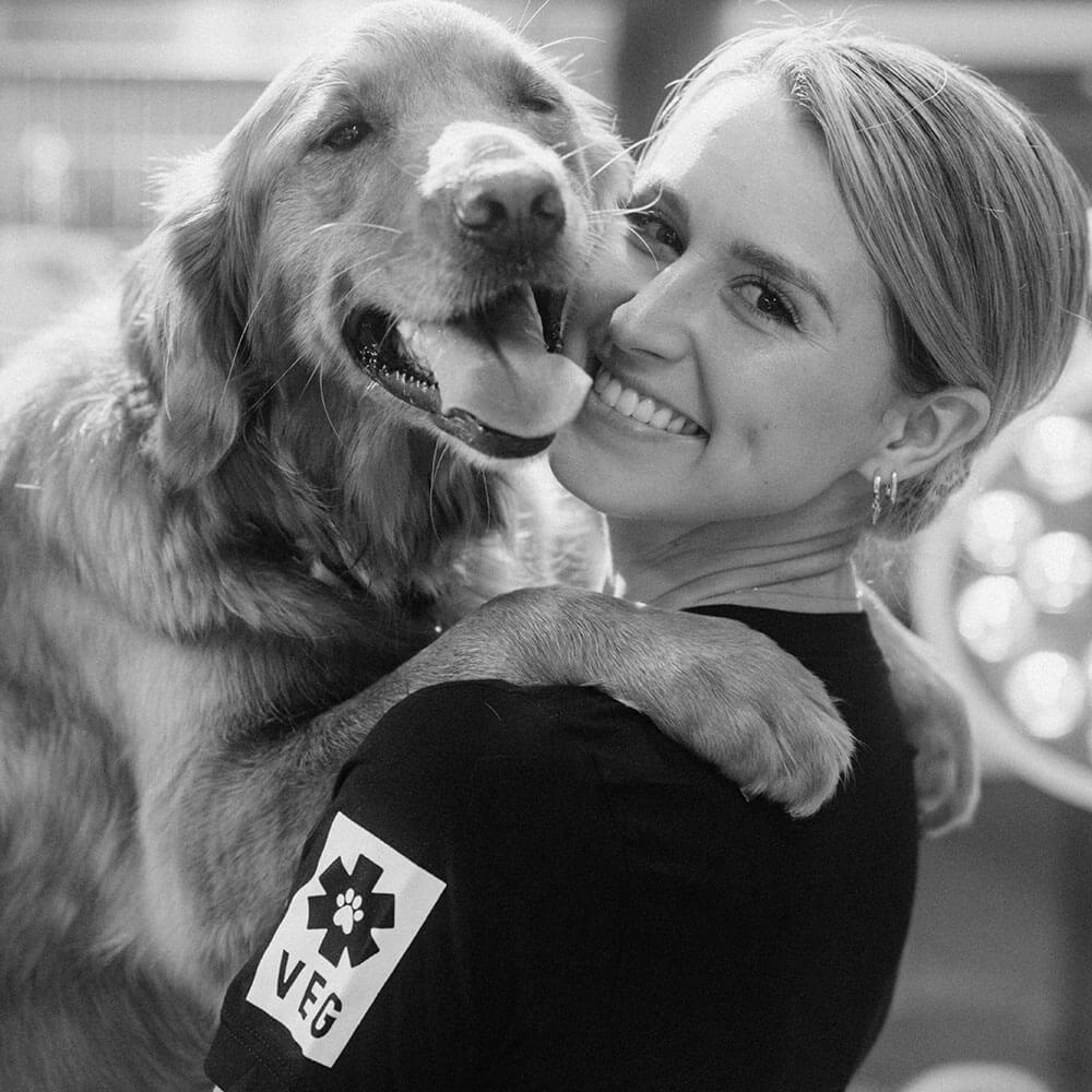 Vet Holding Large Golden Retriever