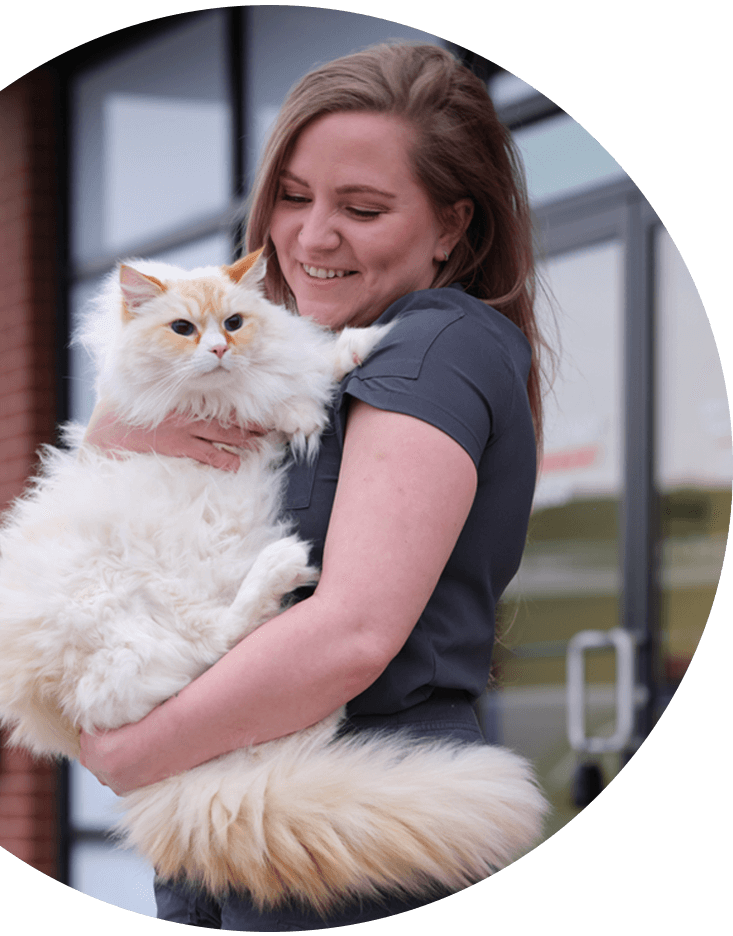 Vet Tech Holding White Fluffy Cat