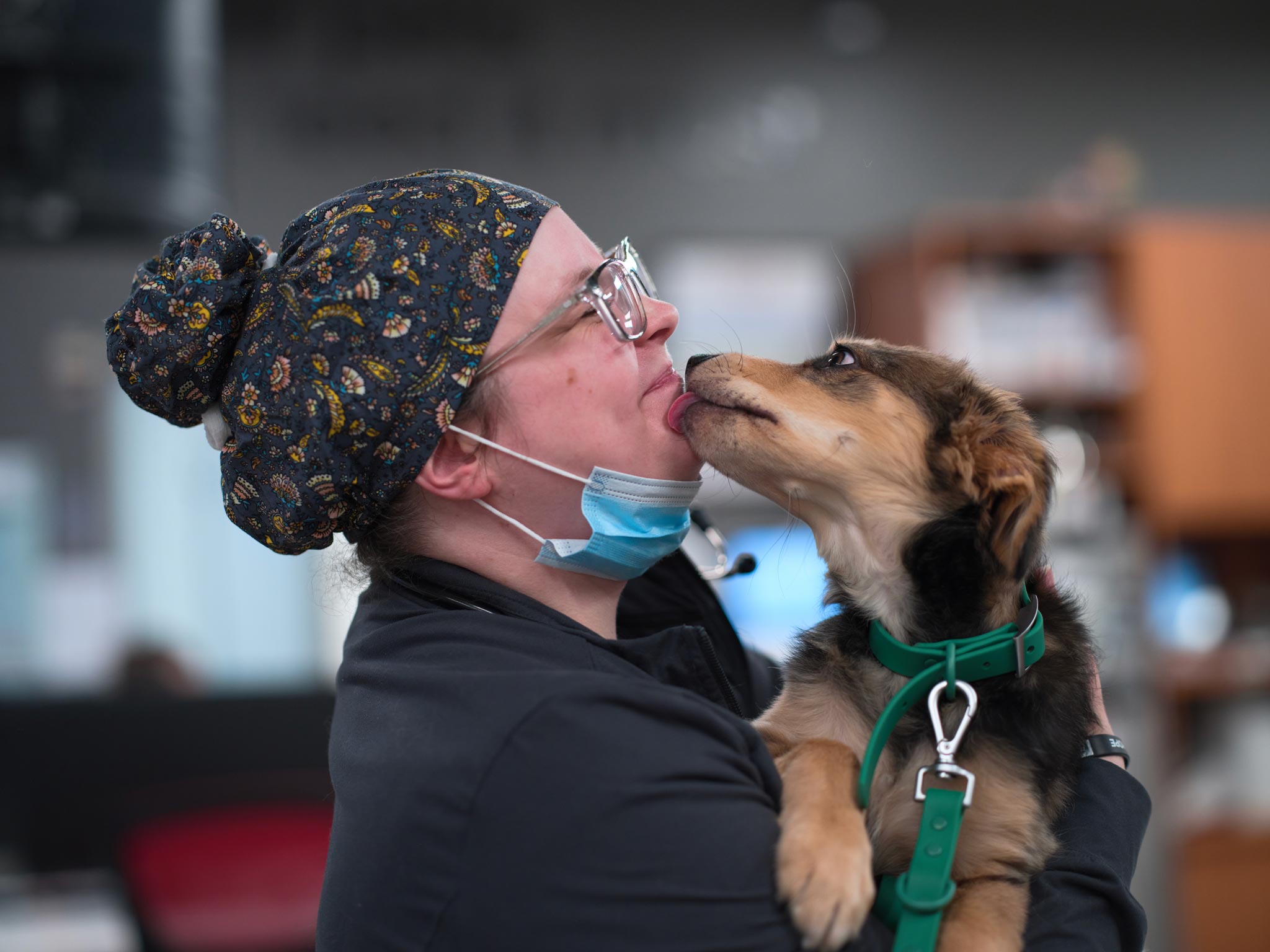 dog kissing staff member on face